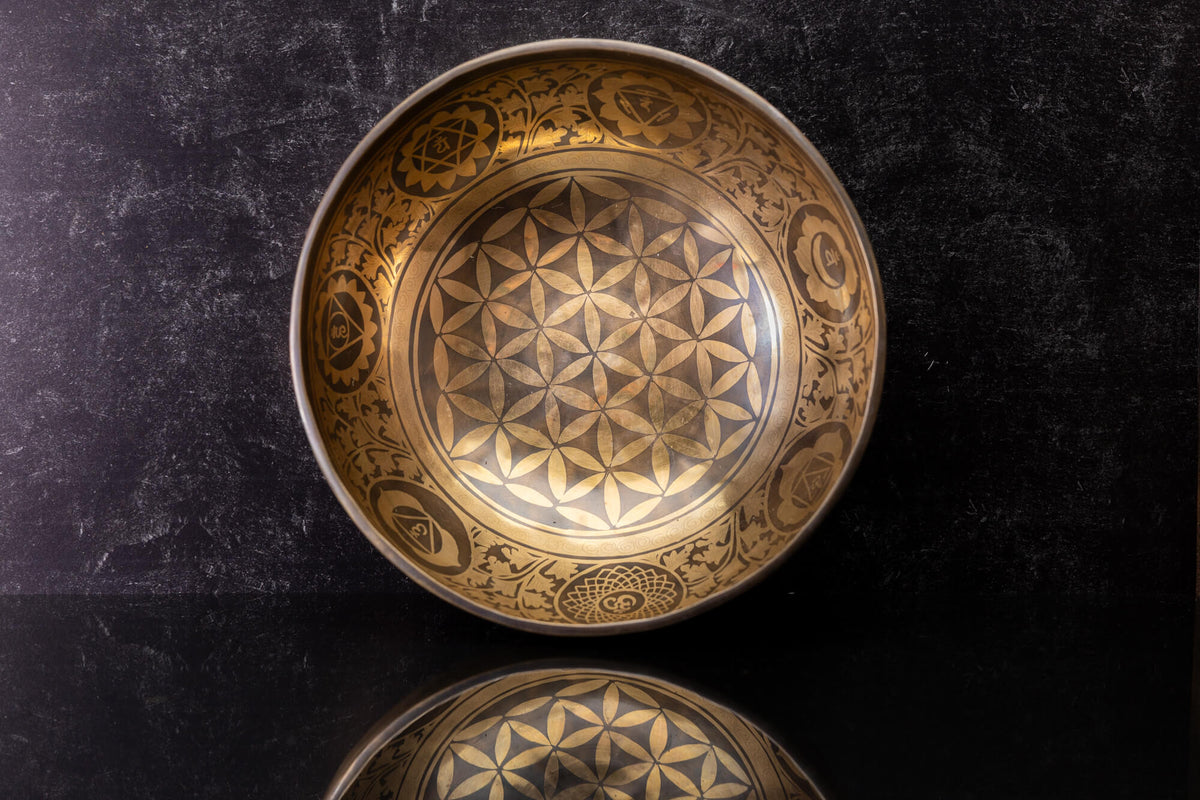 9.5" D Tone 3rd Octave Bronze 0812