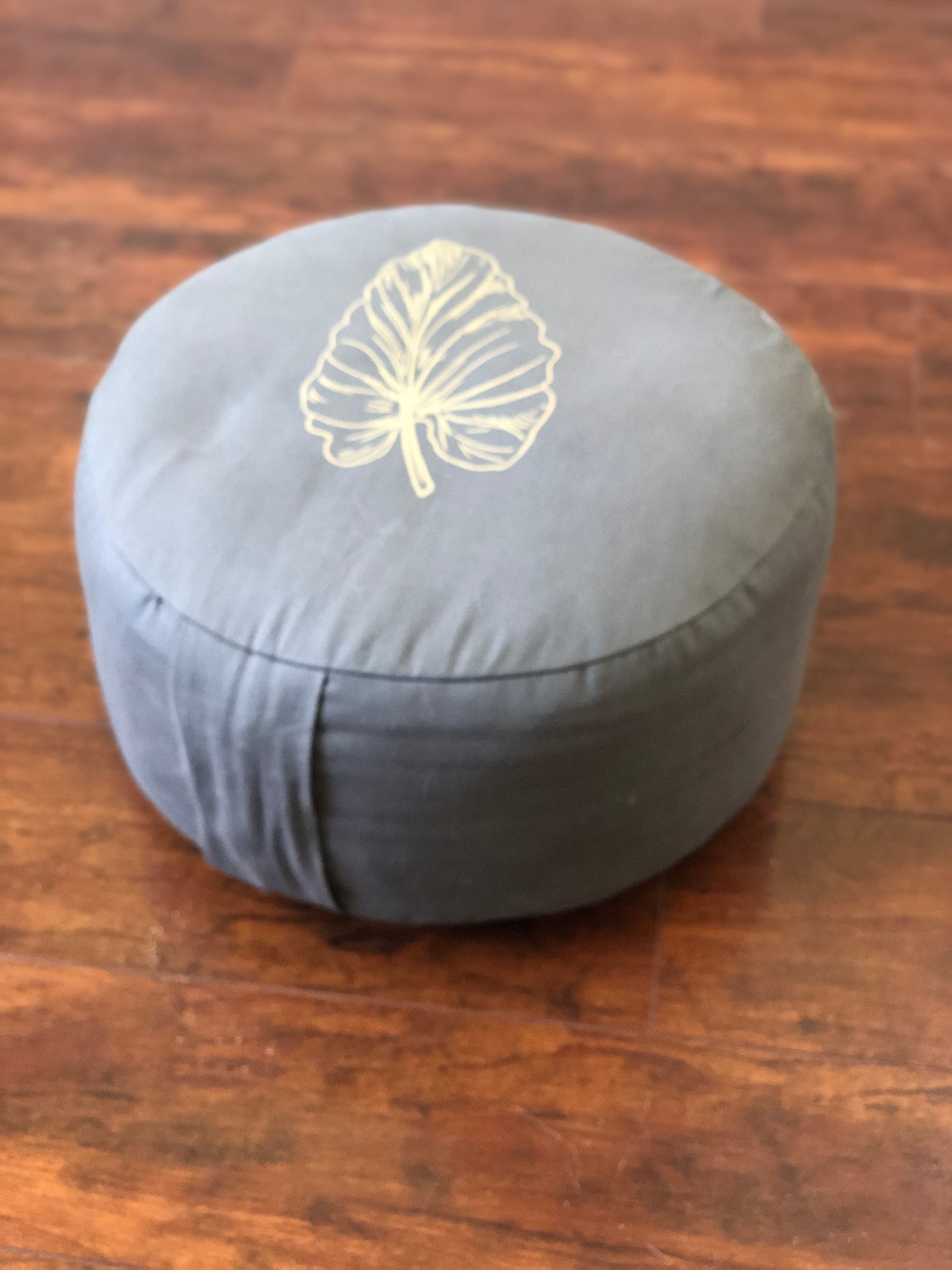 Meditation and Practioner's Cushion