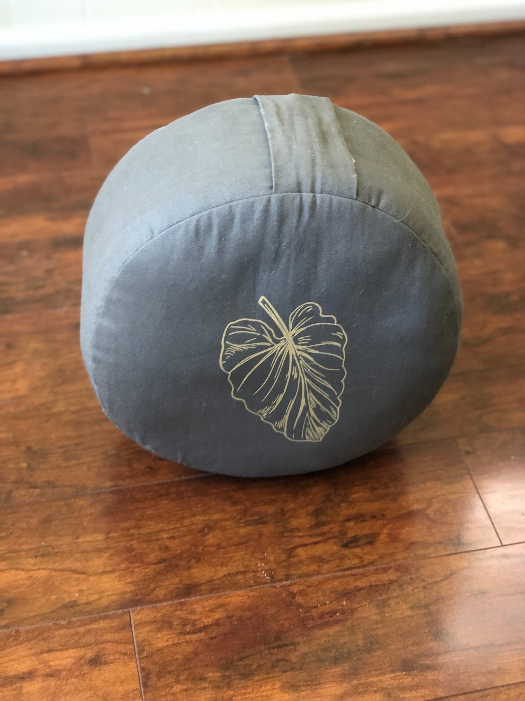 Meditation and Practioner's Cushion