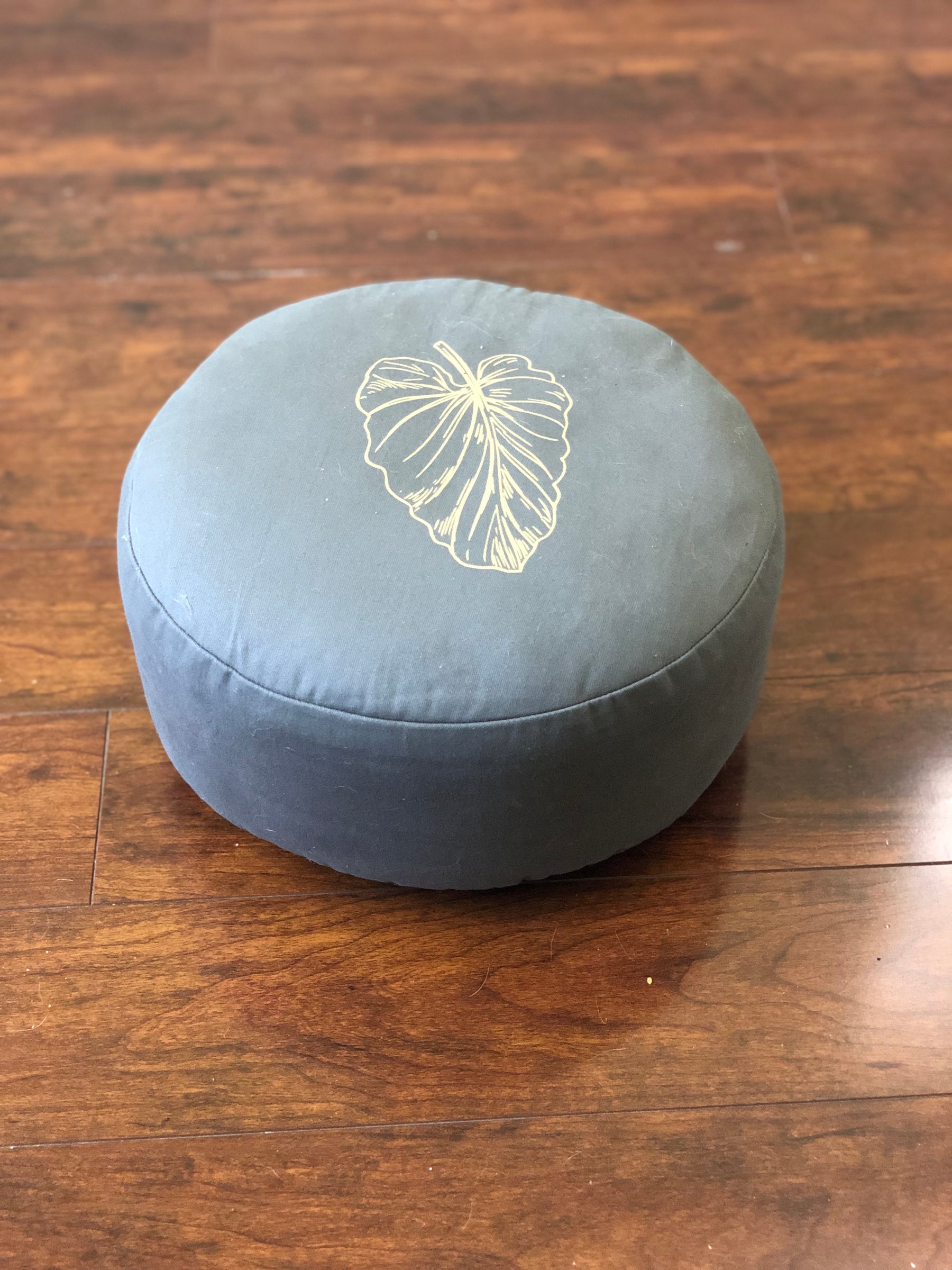 Meditation and Practioner's Cushion