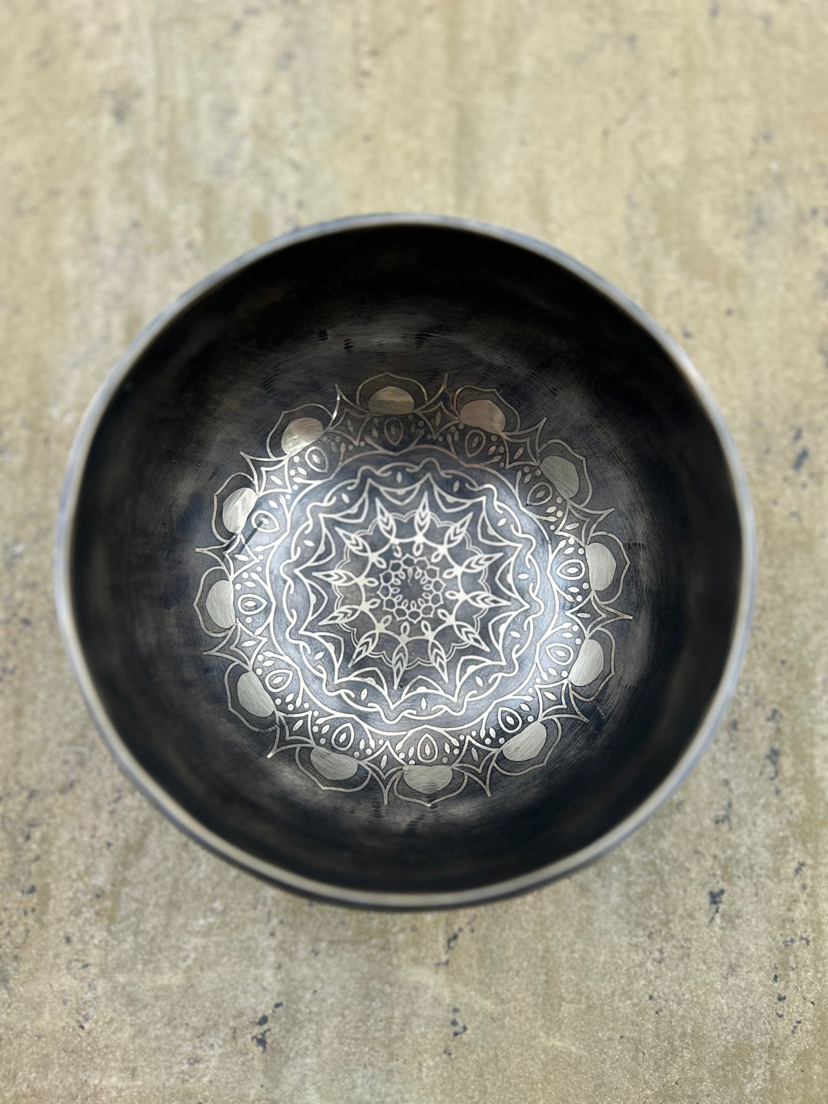 The Wayfinder Bowl: 6 inch | Collector's Edition