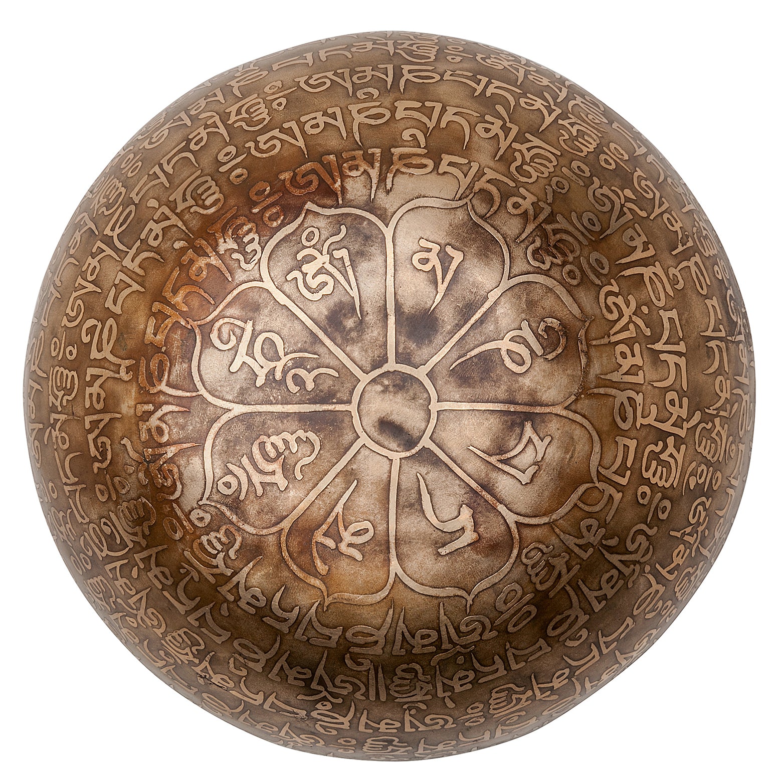 The 12 Days of Ohm Bundle