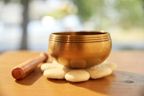 Sprout: 3.5 Inch Bronze Singing Bowl Made Just For Kids Mindfulness Special Design Cushion