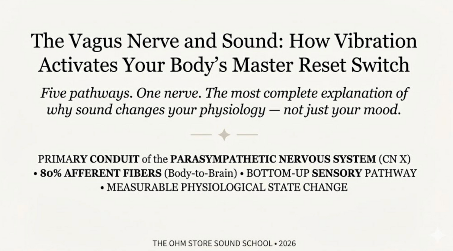 The Vagus Nerve and Sound: 5 Activation Pathways | Ohm Store