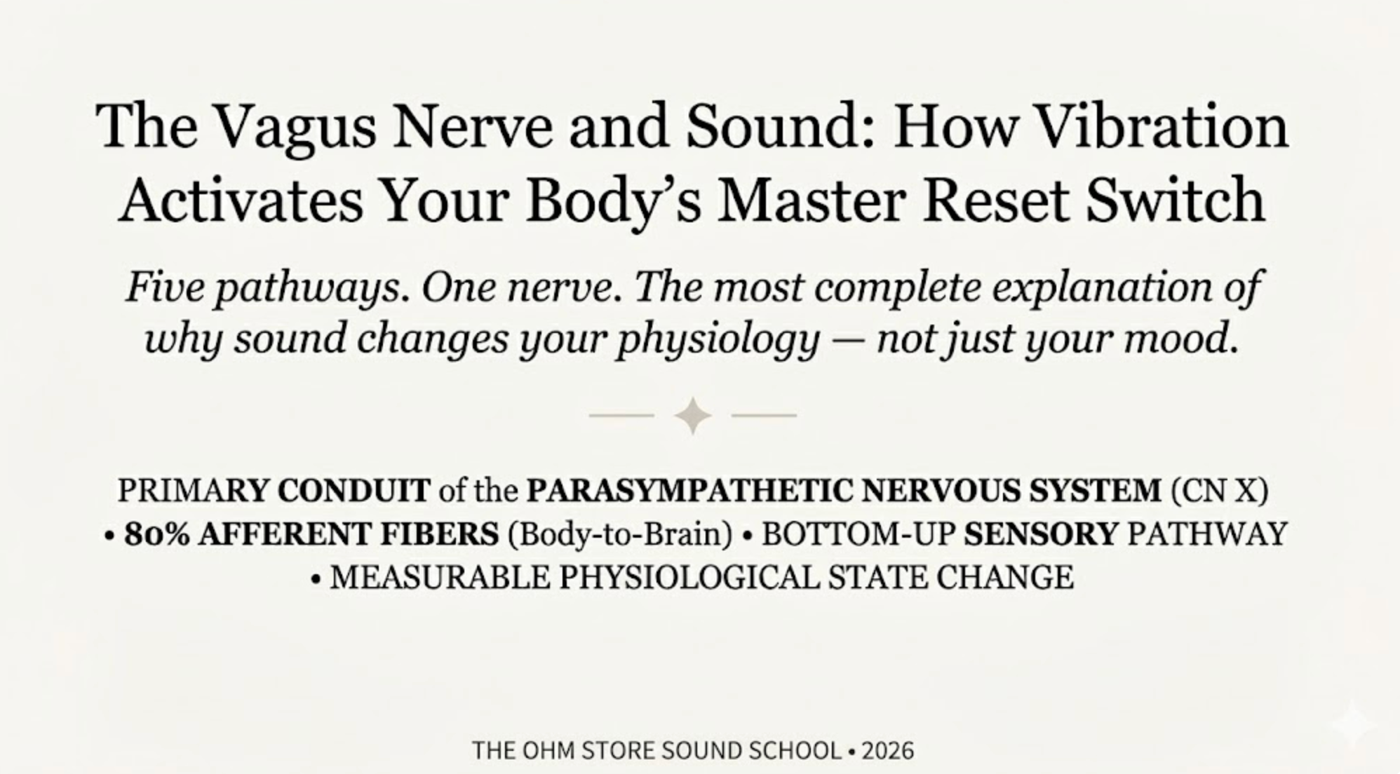 The Vagus Nerve and Sound: 5 Activation Pathways | Ohm Store
