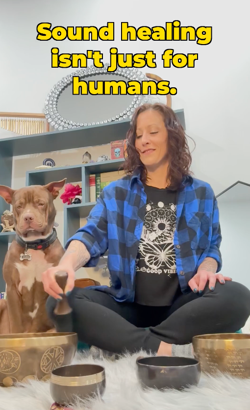 Do Dogs and Animals respond to Singing Bowls And Sound? Ohm Store.