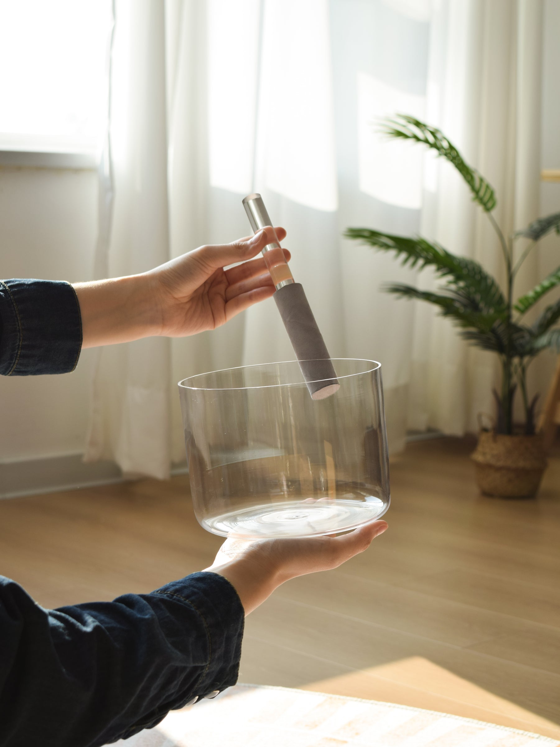 Prism Series D#4 6.5" Fused Quartz Crystal Singing Bowl