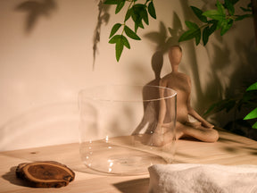 Prism Series F#3 7.75" Fused Quartz Crystal Singing Bowl