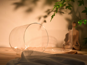 Prism Series Duo 8.75"  I C3 and 7.5"I G3 Fused Crystal Singing Bowl Set