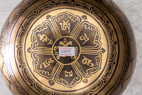 8.75' D Tone 3rd Octave Bronze 0828