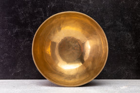 9.5' C# Tone 3rd Octave Bronze 0830