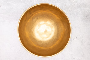 9.25' D Tone 3rd Octave Bronze 0862