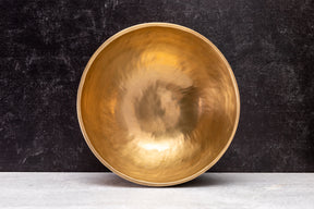9.25' D Tone 3rd Octave Bronze 0862