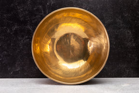 9.5' D Tone 3rd Octave Bronze 0863