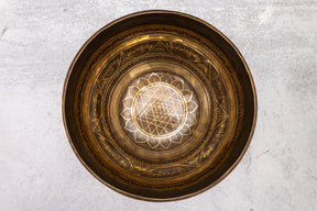 9.25' D Tone 3rd Octave Bronze 1014