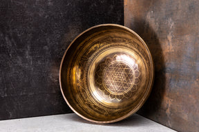 9.25' D Tone 3rd Octave Bronze 1014