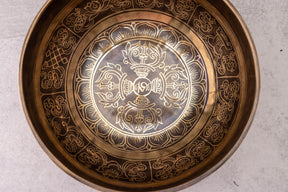 9.5' D Tone 3rd Octave Bronze 0953