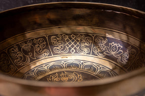 9.5' D Tone 3rd Octave Bronze 0953