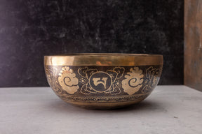 9.5' D Tone 3rd Octave Bronze 0953