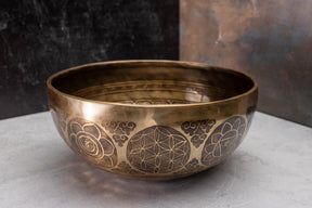 10' C# Tone 3rd Octave Bronze 01012