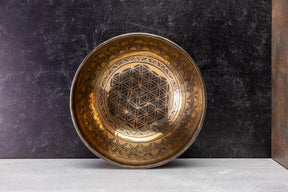 10' E Flat Tone 3rd Octave Bronze 0937