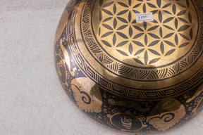 9.25' D Tone 3rd Octave Bronze 01000