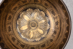 9.5' D Tone 3rd Octave Bronze 0803