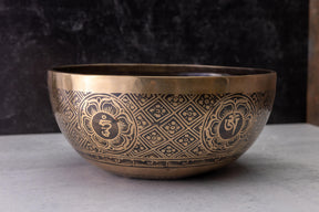 9.5' D Tone 3rd Octave Bronze 0803