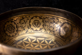 9.5" D Tone 3rd Octave Bronze 0812