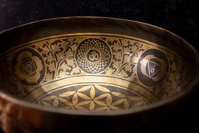 9.5" D Tone 3rd Octave Bronze 0812