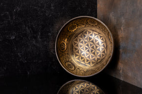 9.5" D Tone 3rd Octave Bronze 0812