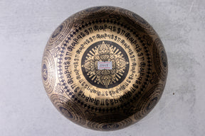 9.25' D Tone 3rd Octave Bronze 0909