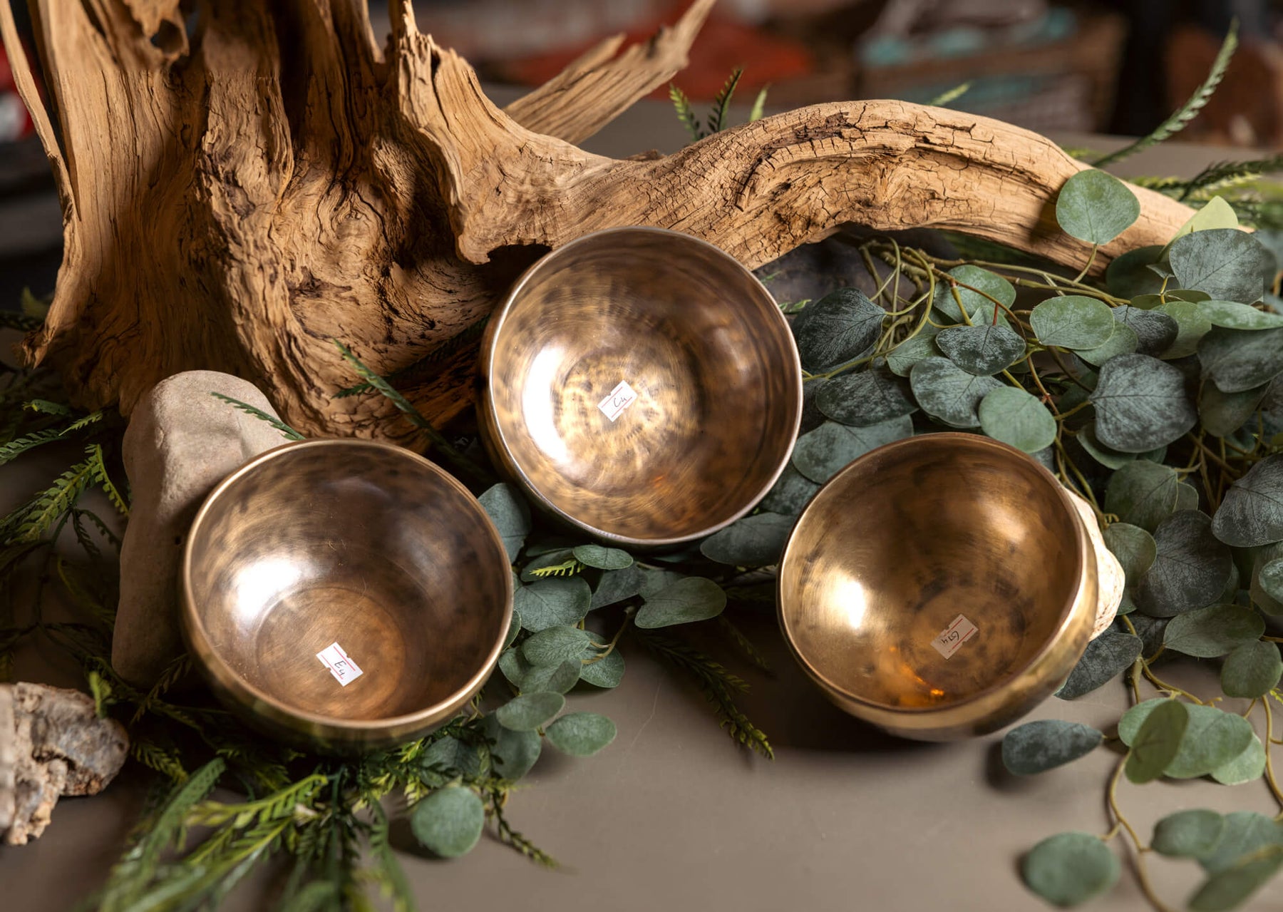 Legacy Major Triad Set: C4, E4, G4