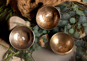 Legacy Major Triad Set: C4, E4, G4