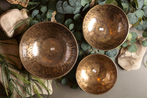 Legacy Major Triad Set: C3, E3, G3