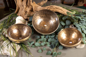 Legacy Major Triad Set: C3, E3, G3