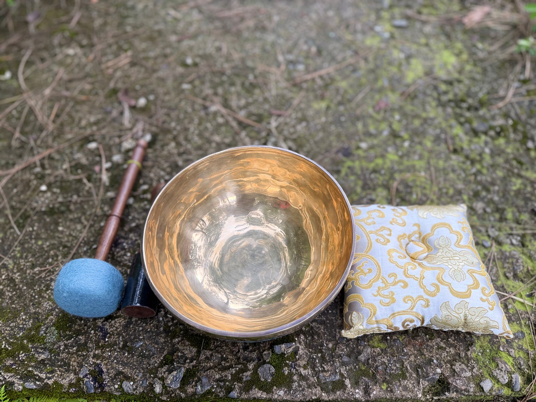 Mystic Dragon Bowl I 9 Inch Bell Bronze Singing Bowl No.4