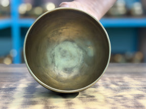 5.1" G Tone 4th Octave Bronze 01130