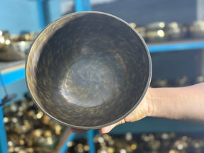 8.9" D Tone 3rd Octave Bronze 01156
