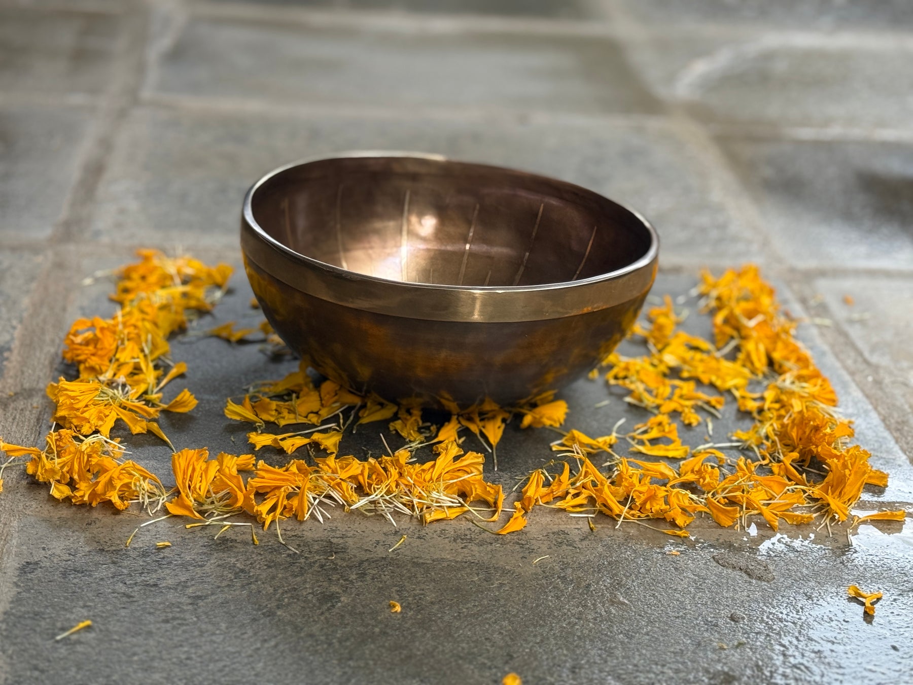 The Renewal Bowl: 9 Inch "New Years" Celebration Piece