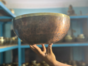 13 Inch Bronze Longevity Bowl I Large Format Second Octave Singing Bowl