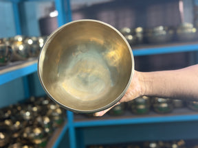 8.5 Inch Chakra Rainbow Singing Bowl. Limited Edition Run.