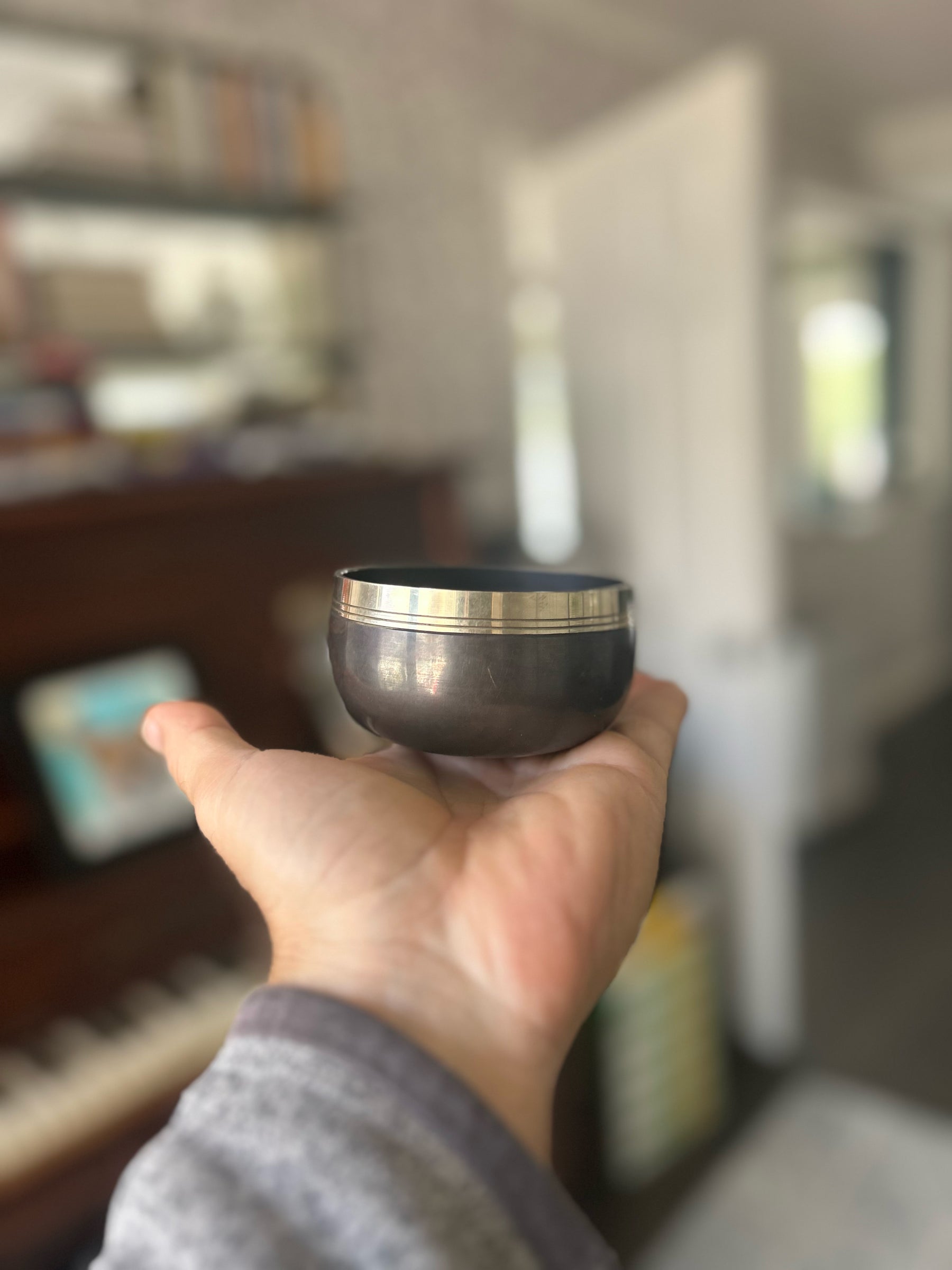 The Foundations Of Sound Starter Set: 2 Bronze Singing Bowls And How To Play Course