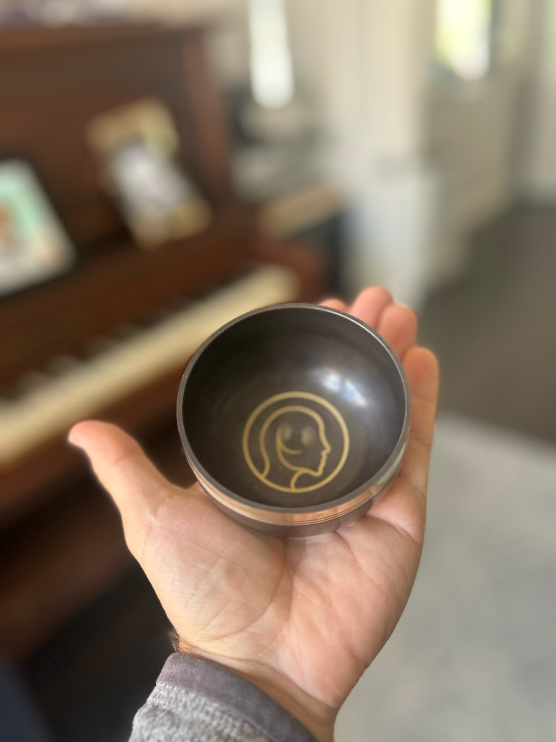 The Foundations Of Sound Starter Set: 2 Bronze Singing Bowls And How To Play Course