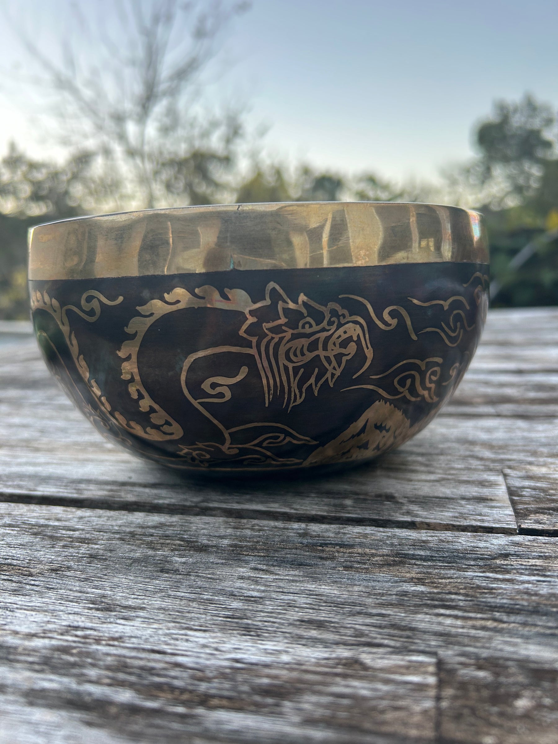 The Winter Dragon Singing Bowl: 6 Inch One Time Release Handmade Bronze Singing Bowl