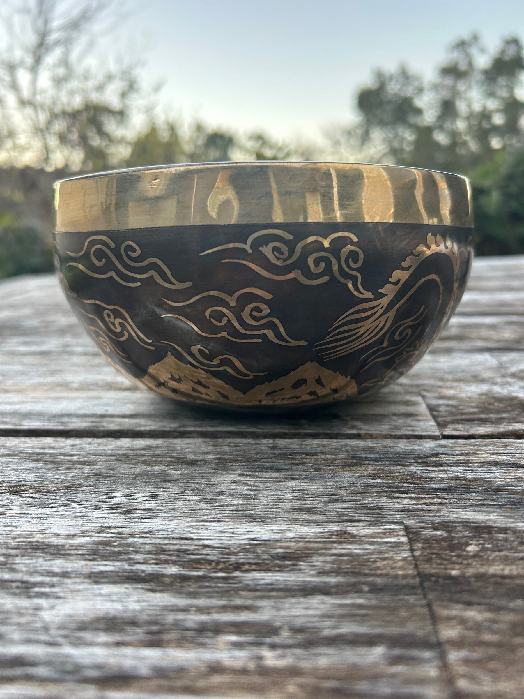 The Winter Dragon Singing Bowl: 6 Inch One Time Release Handmade Bronze Singing Bowl