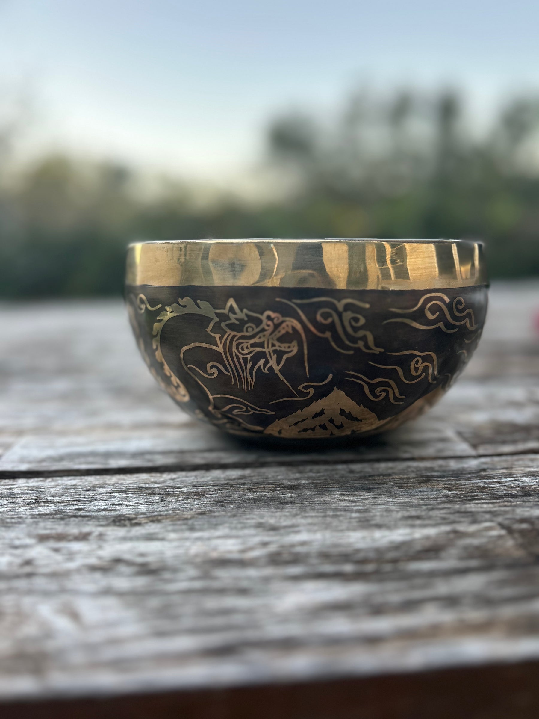 The Winter Dragon Singing Bowl: 6 Inch One Time Release Handmade Bronze Singing Bowl