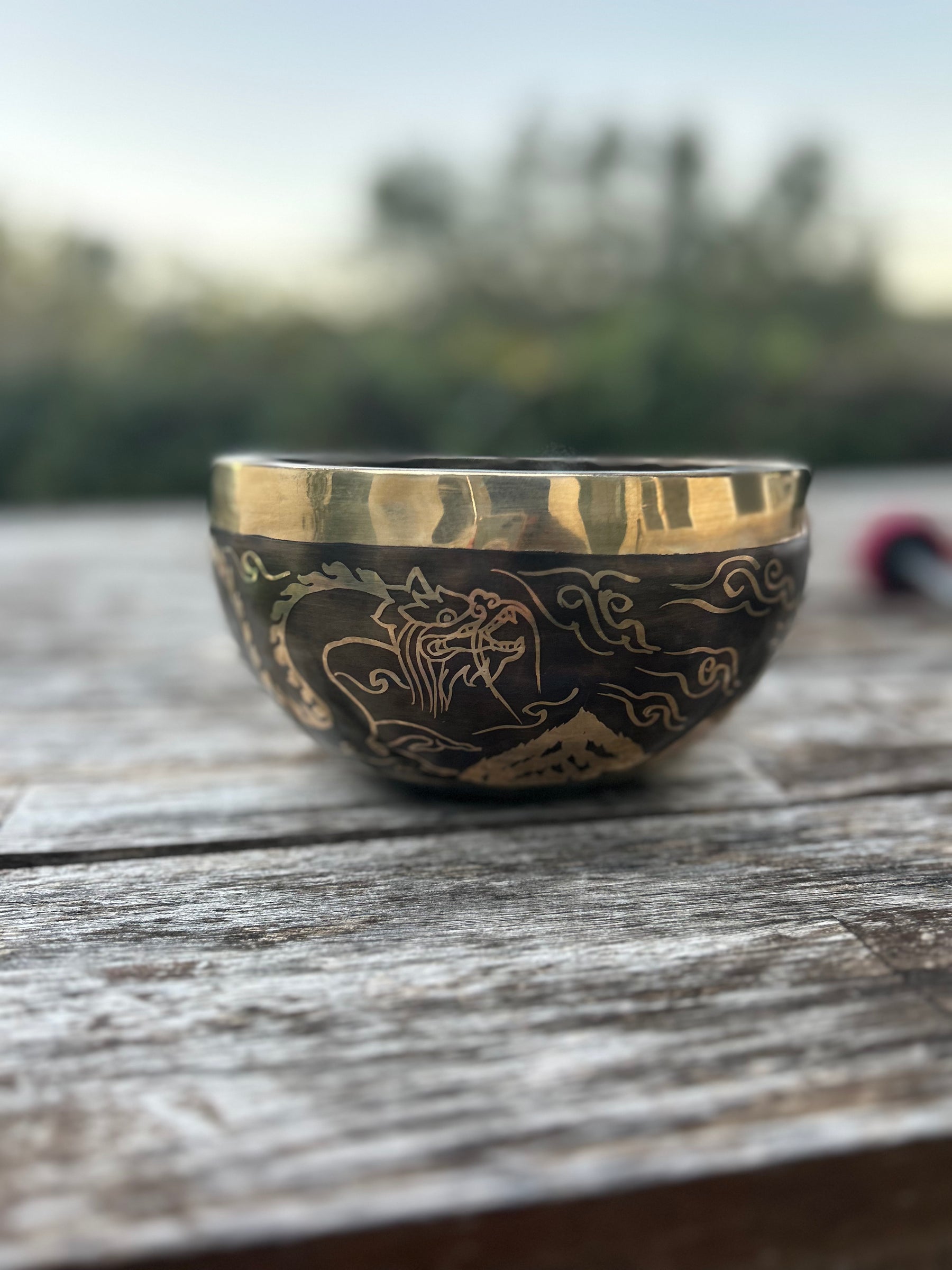 The Winter Dragon Singing Bowl: 6 Inch One Time Release Handmade Bronze Singing Bowl