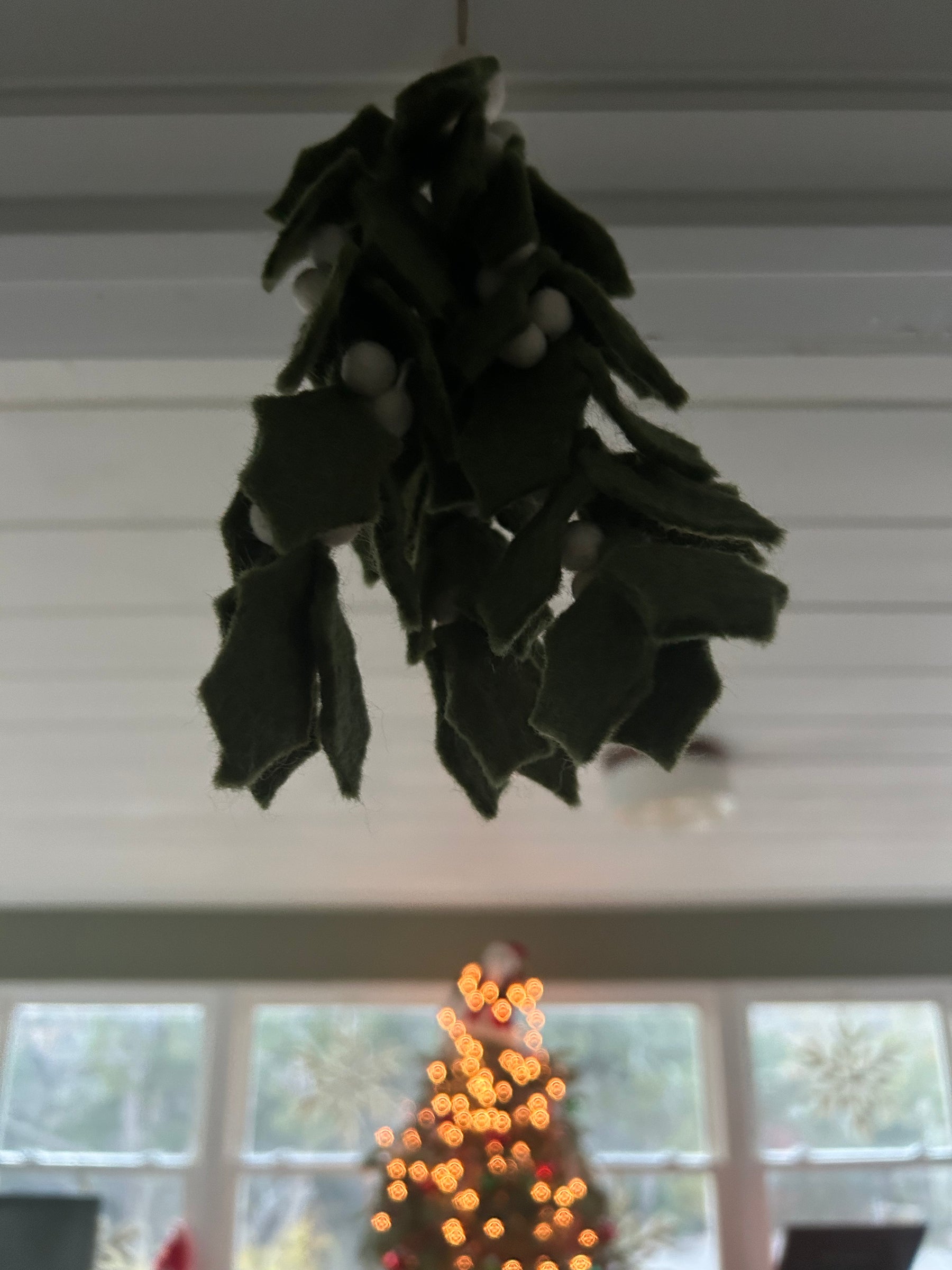 Handmade Felt Mistletoe: Made By Women's Collection In Nepal