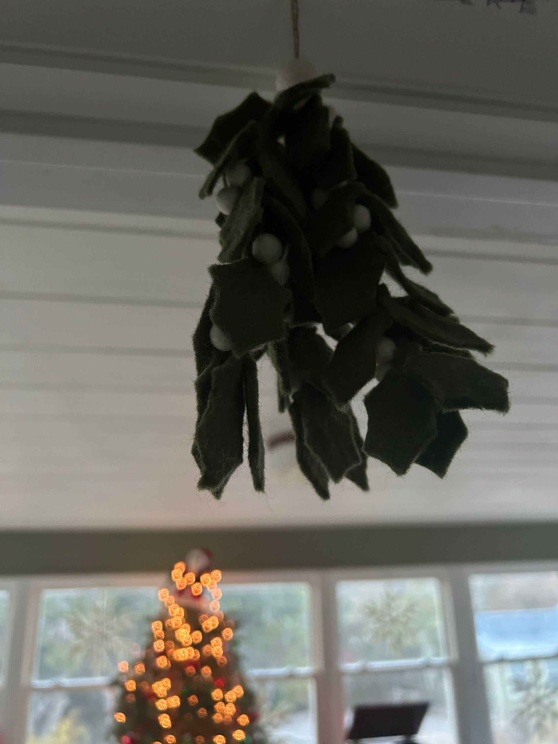 Handmade Felt Mistletoe: Made By Women's Collection In Nepal